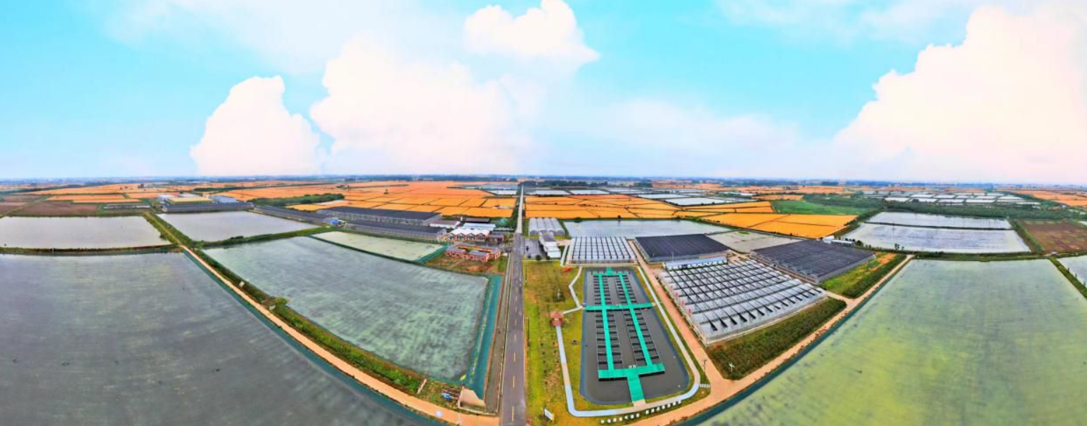 一只小龙虾带动一座城(图2) 一只小龙虾带动一座城(图2)