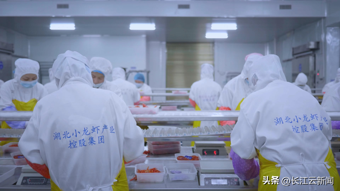 小龙虾“命运的齿轮”,从这里开始转动(图3) 小龙虾“命运的齿轮”,从这里开始转动(图3)